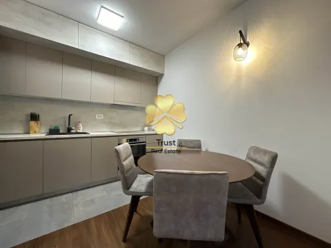 Izdavanje, jednosoban stan, 52m², Master Kvart, Podgorica - image 4