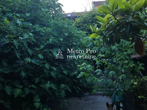 Sale, house, 256m², Zemun Centar, Zemun Sve Podlokacije - image 4