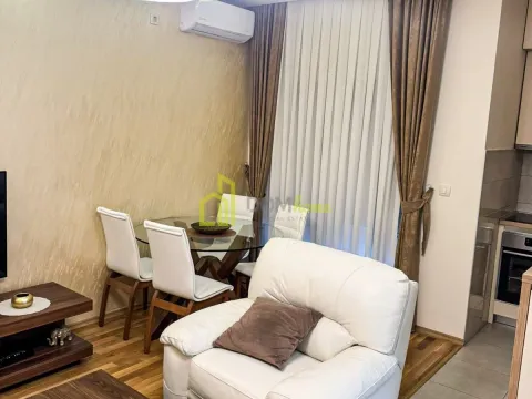 Izdavanje, jednosoban stan, 45m², Blok 9, Podgorica - image 3