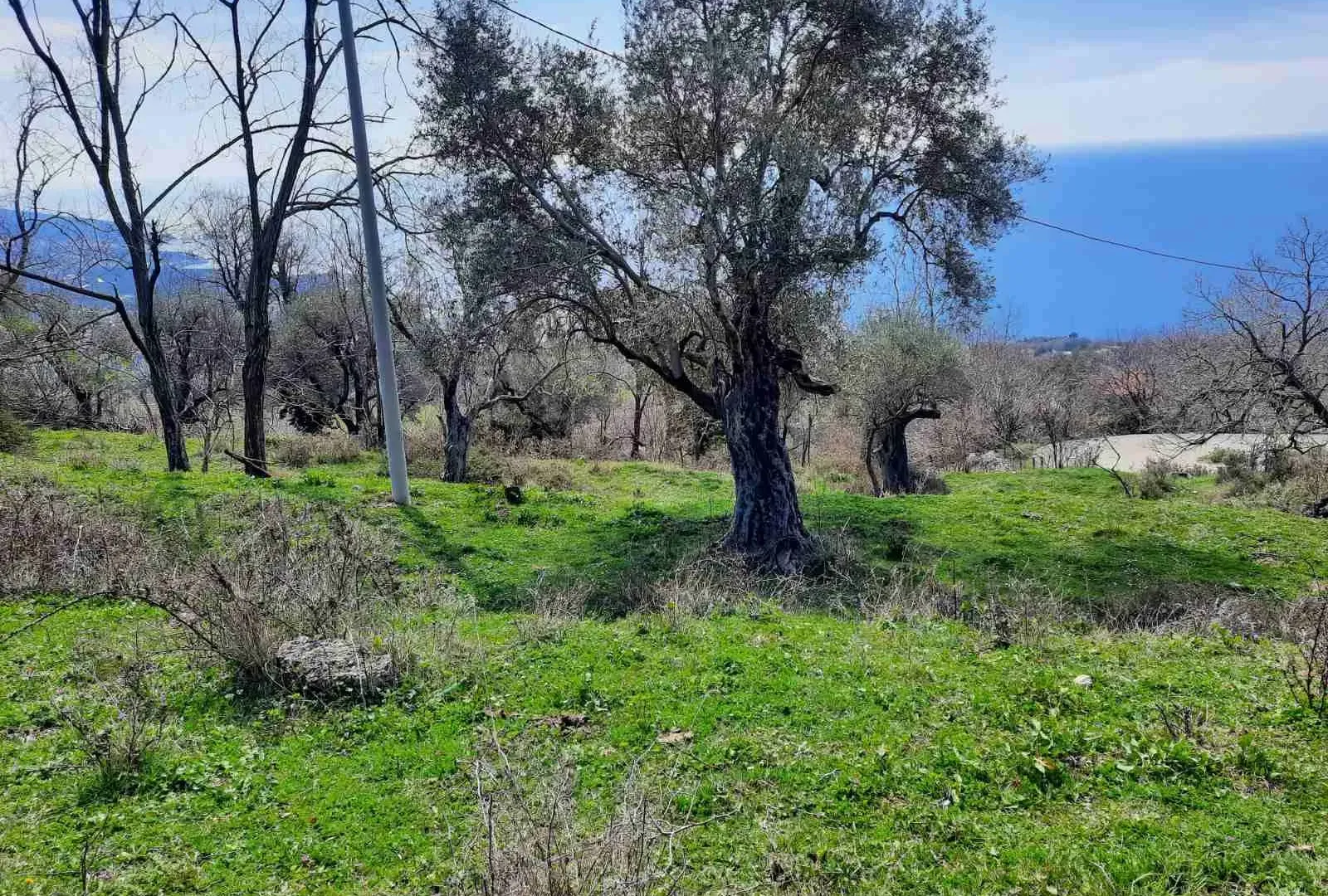 Prodaja, plac, 2600m², Bar, Crna Gora