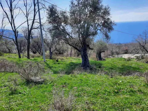 Prodaja, plac, 2600m², Bar, Crna Gora - image 3