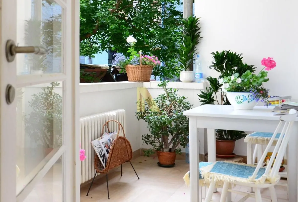 Svetao i uređen balkon sa trpezarijskim stolom, stolicama i dosta sobnog bilja.