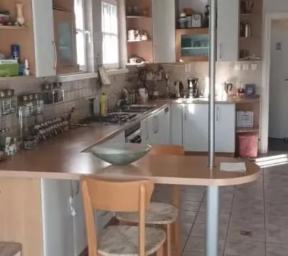 Izdavanje, kuća, 280m², Zvezdarska Šuma, Zvezdara Sve Podlokacije - image 7