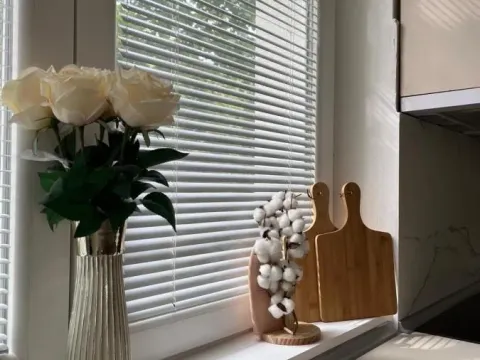 Prodaja, poslovni prostor, 555m², Niška Banja, Niš - image 22