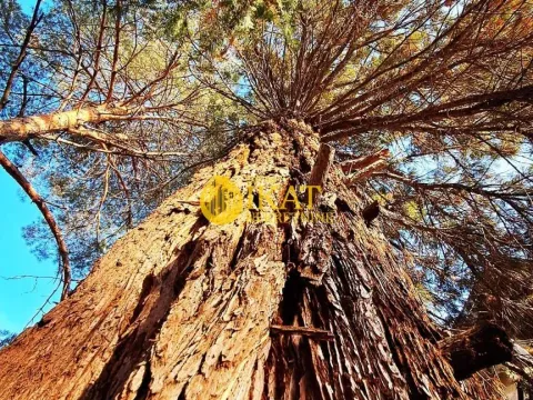 Prodaja, kuća, 132m², Brestovik, Grocka - image 13