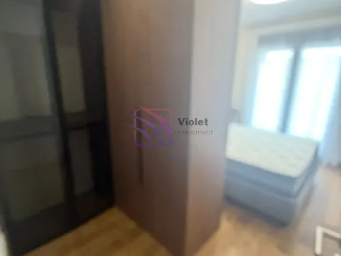 Rent, one bedroom apartment, 50m², Tološka šuma, Podgorica - image 6