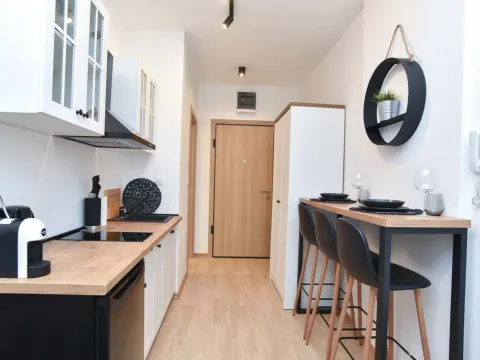 Rent, studio apartment, 30m², Budva, Crna Gora - image 7