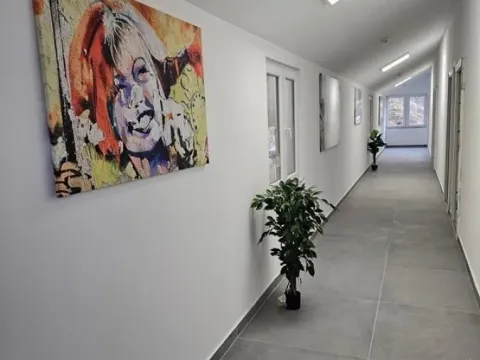 Prodaja, ugostiteljski objekat, 626m², Zlatibor, Srbija - image 3