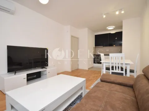 Izdavanje, jednosoban stan, 48m², Ljubović, Podgorica - image 9