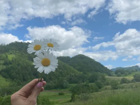 Prodaja, plac, 13266m², Podgorica, Crna Gora - image 2