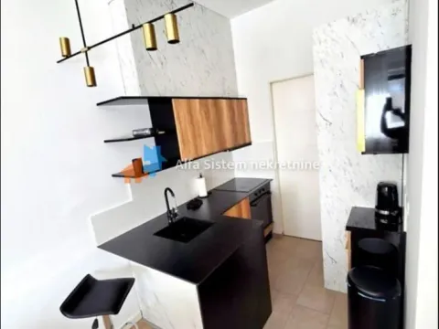 Rent, two bedroom apartment, 42m², Lion, Zvezdara Sve Podlokacije - image 5