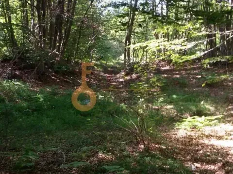 Prodaja, plac, 100000m², Cetinje, Crna Gora - image 17