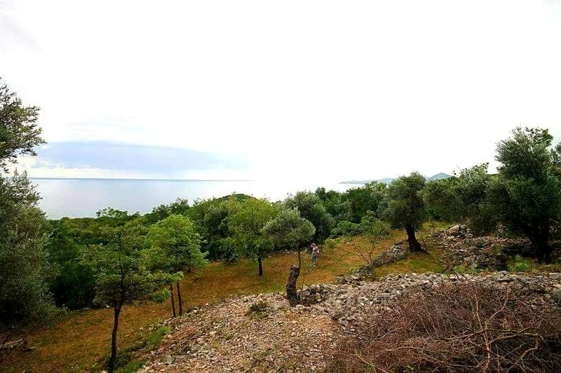 Prodaja, plac, 2650m², Reževići, Budva