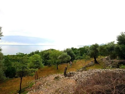 Prodaja, plac, 2650m², Reževići, Budva - image 1