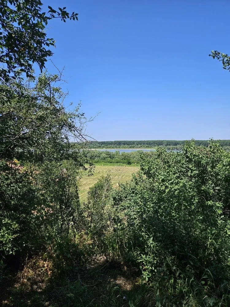 Prodaja, plac, 5000m², Stari Slankamen, Inđija