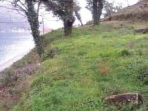 Prodaja, plac, 5900m², Kostanjica, Kotor - image 2