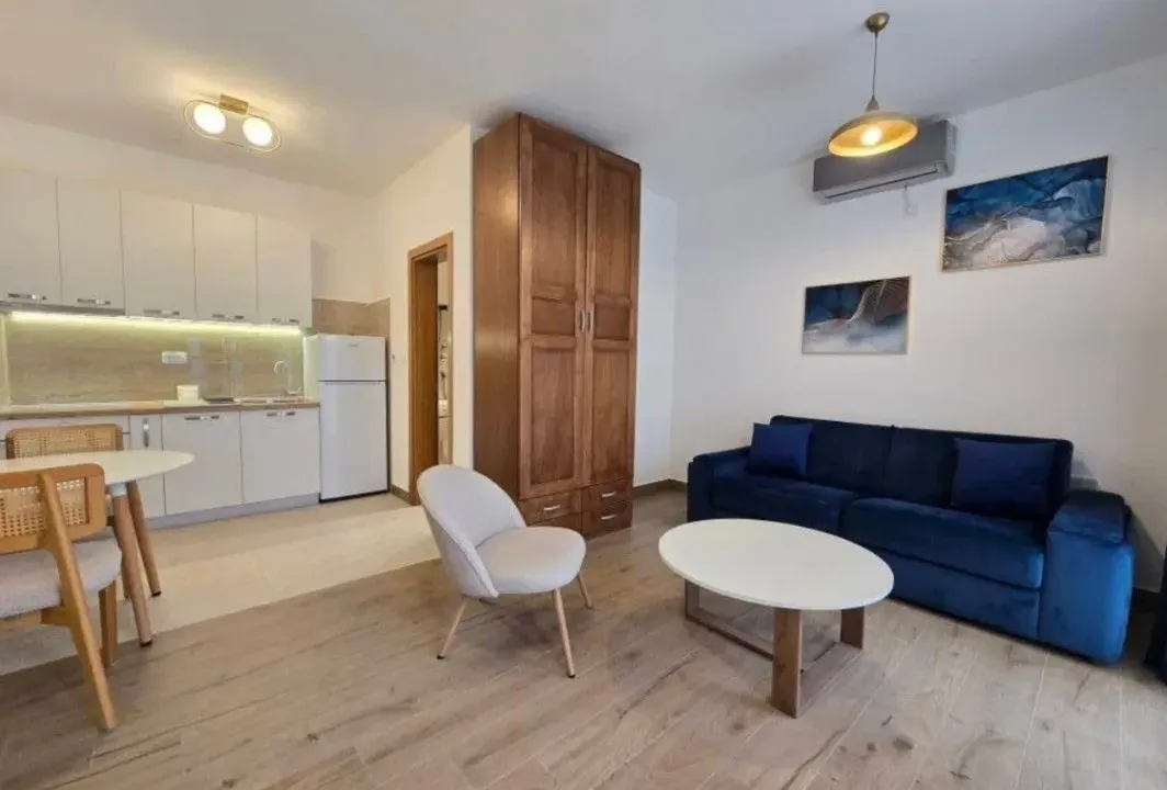 Izdavanje, garsonjera, 25m², Momišići, Podgorica