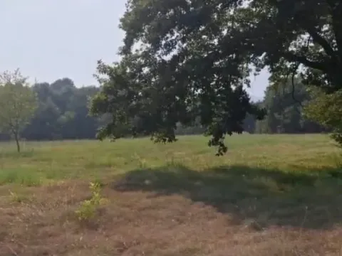 Prodaja, plac, 11471m², Podgorica, Crna Gora - image 3