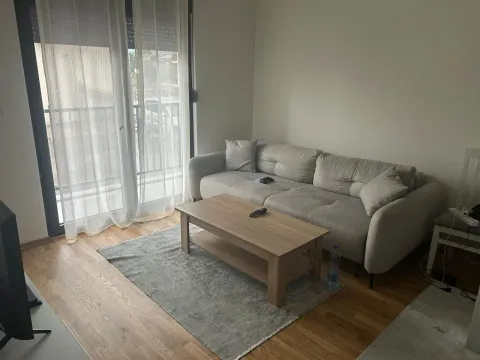 Izdavanje, jednosoban stan, 40m², Zabjelo, Podgorica - image 7