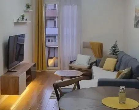 Izdavanje, jednosoban stan, 43m², Central Point, Podgorica - image 3