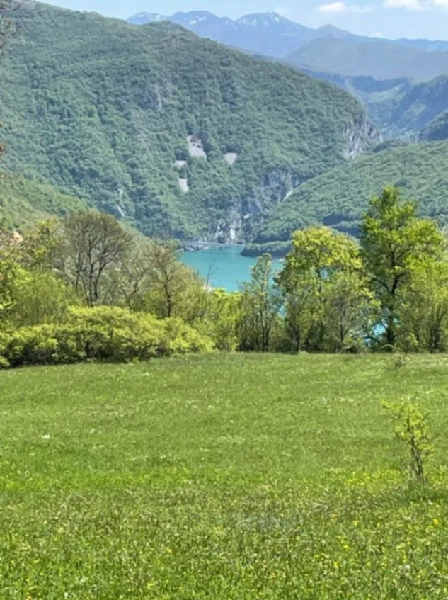 Prodaja, plac, 15000m², Donja Brezna, Plužine