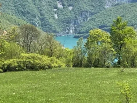 Sale, land lot, 15000m², Donja Brezna, Plužine - image 3