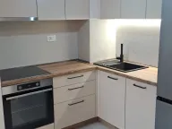 Izdavanje, jednosoban stan, 41m², Central Point, Podgorica - image 10