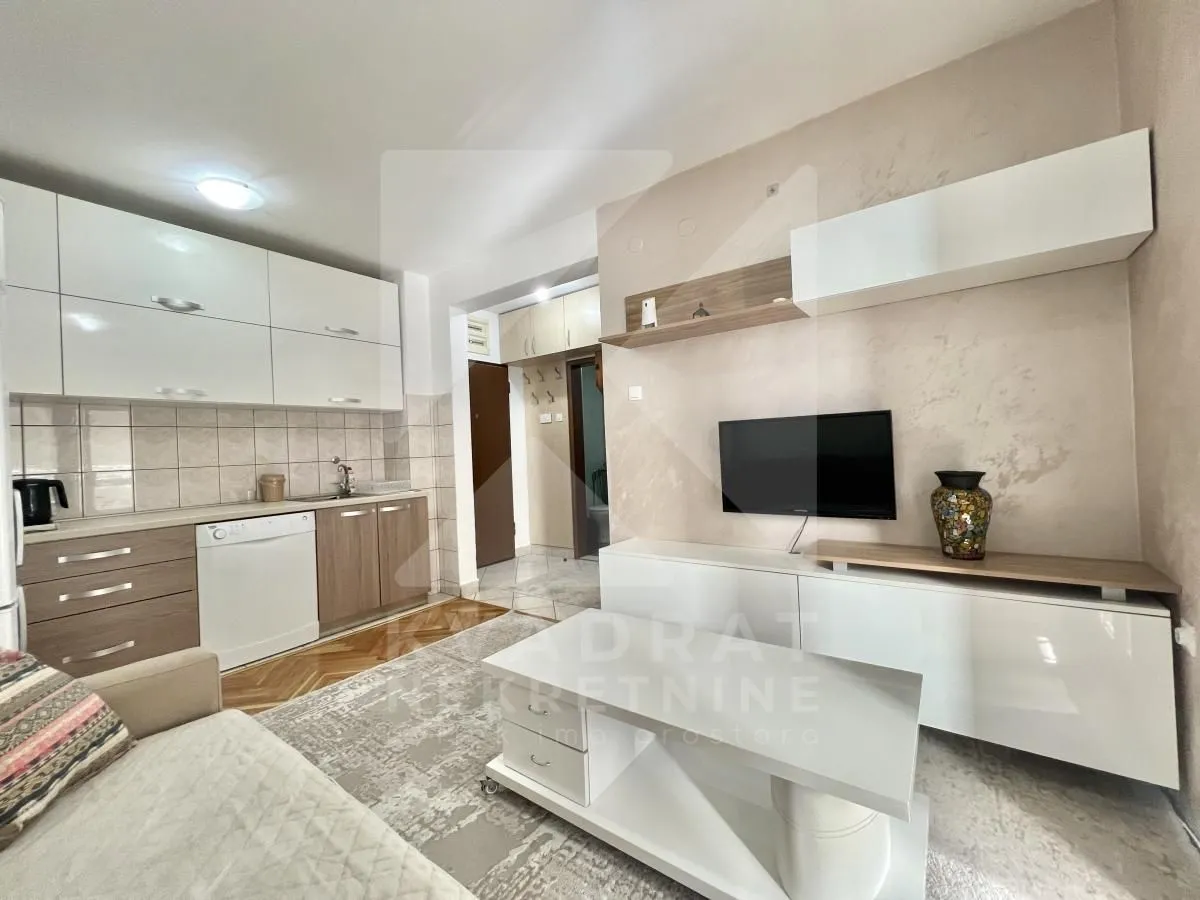 Living room with a sofa and an integrated kitchen in the background.