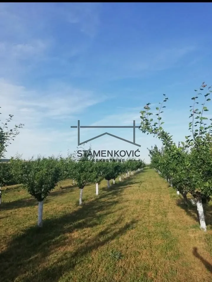 Prodaja, plac, 4636m², Sremska Mitrovica, Srbija