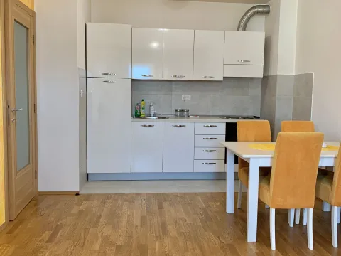 Izdavanje, jednosoban stan, 46m², Stari Aerodrom, Podgorica - image 3