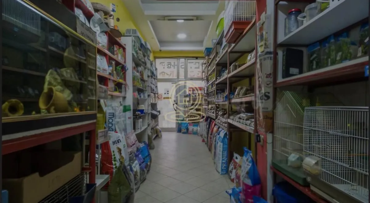 Rent, office space, 33m², Detelinara, Novi Sad Sve Podlokacije