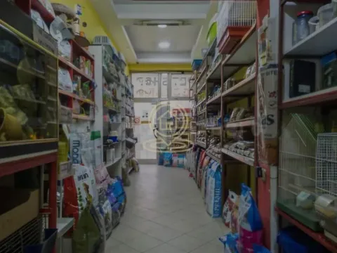 Rent, office space, 33m², Detelinara, Novi Sad Sve Podlokacije - image 1