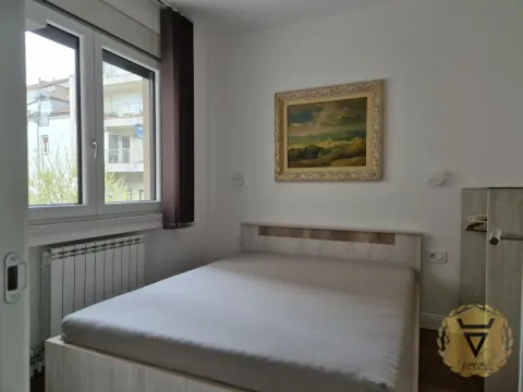 Izdavanje, dvosoban stan, 45m², Vračar Hram, Vračar Sve Podlokacije - image 6