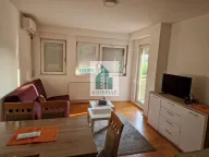 Izdavanje, dvosoban stan, 48m², Medijana, Niš - image 3