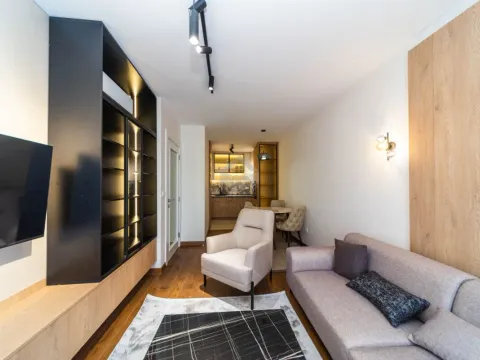 Izdavanje, jednosoban stan, 51m², Tološi, Podgorica - image 4