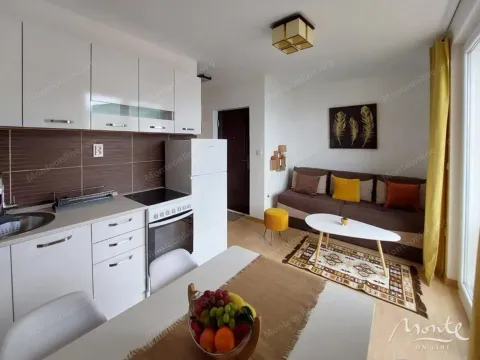 Prodaja, jednosoban stan, 29m², Đenovići, Herceg Novi - image 4