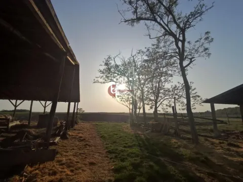 Prodaja, kuća, 153m², Šupljak, Subotica - image 32