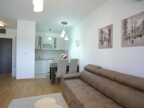 Izdavanje, jednosoban stan, 46m², City Kvart, Podgorica - image 4