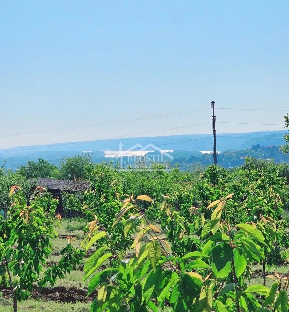 Prodaja, plac, 8900m², Grocka, Beograd
