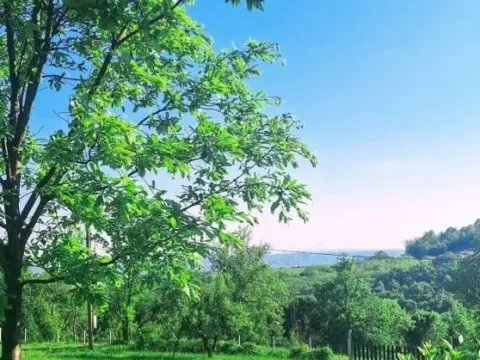 Izdavanje, kuća, 97m², Kosmaj, Sopot - image 6