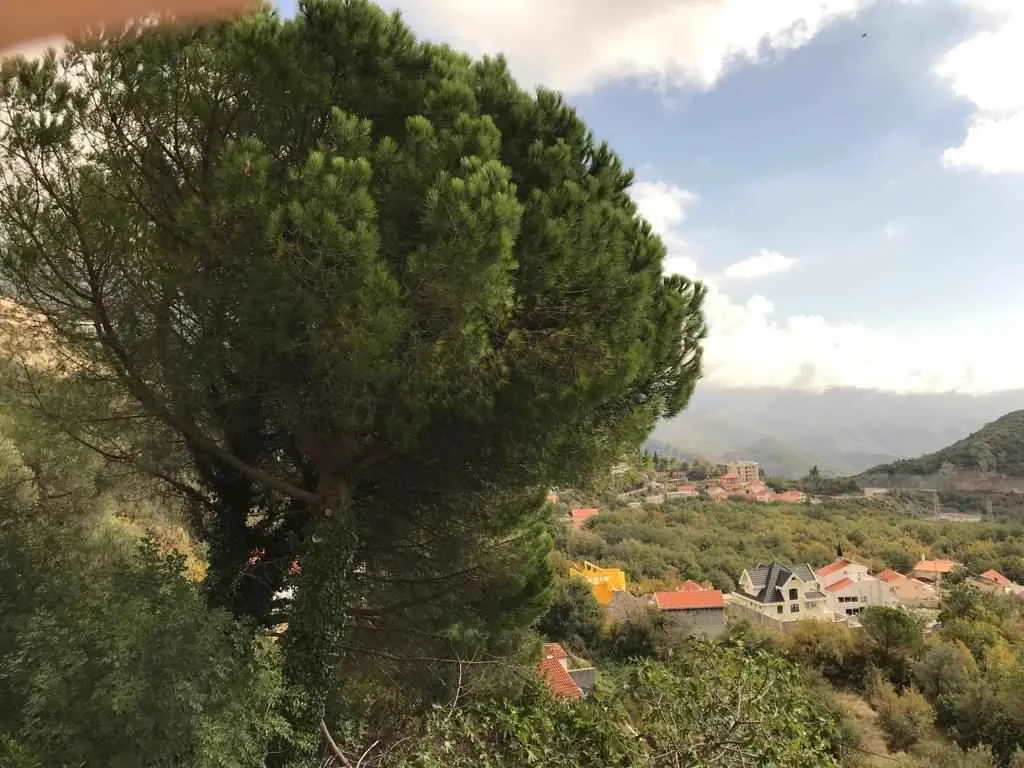 Prelijep pogled sa imanja na okolna brda i lokalno naselje sa kućama.