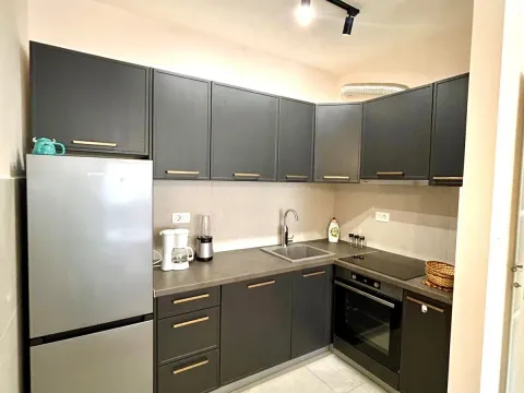 Rent, one bedroom apartment, 49m², Central Point, Podgorica - image 2