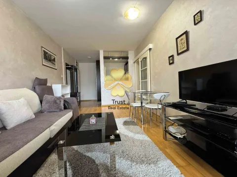 Izdavanje, jednosoban stan, 45m², Preko Morače, Podgorica - image 2