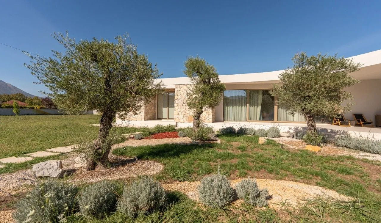 Exterior of a modern house with a landscaped yard, olive trees, and lawn.