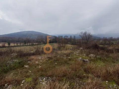 Prodaja, plac, 2500m², Danilovgrad, Crna Gora - image 3