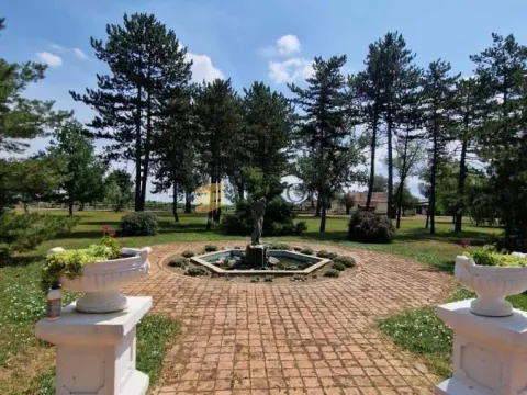 Prodaja, kuća, 1500m², Padej, Čoka - image 4