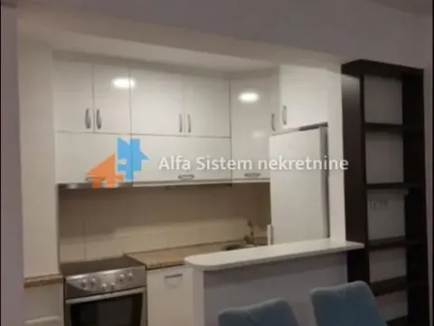 Izdavanje, dvosoban stan, 52m², Novi Beograd Blok 67, Novi Beograd Sve Podlokacije - image 3