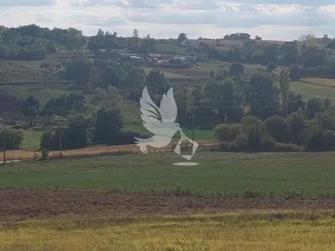 Prodaja, kuća, 30m², Koraćica, Mladenovac - image 5