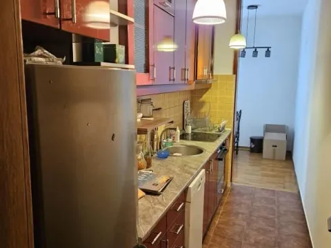 Rent, two bedroom apartment, 55m², Lekino Brdo, Voždovac Sve Podlokacije - image 5