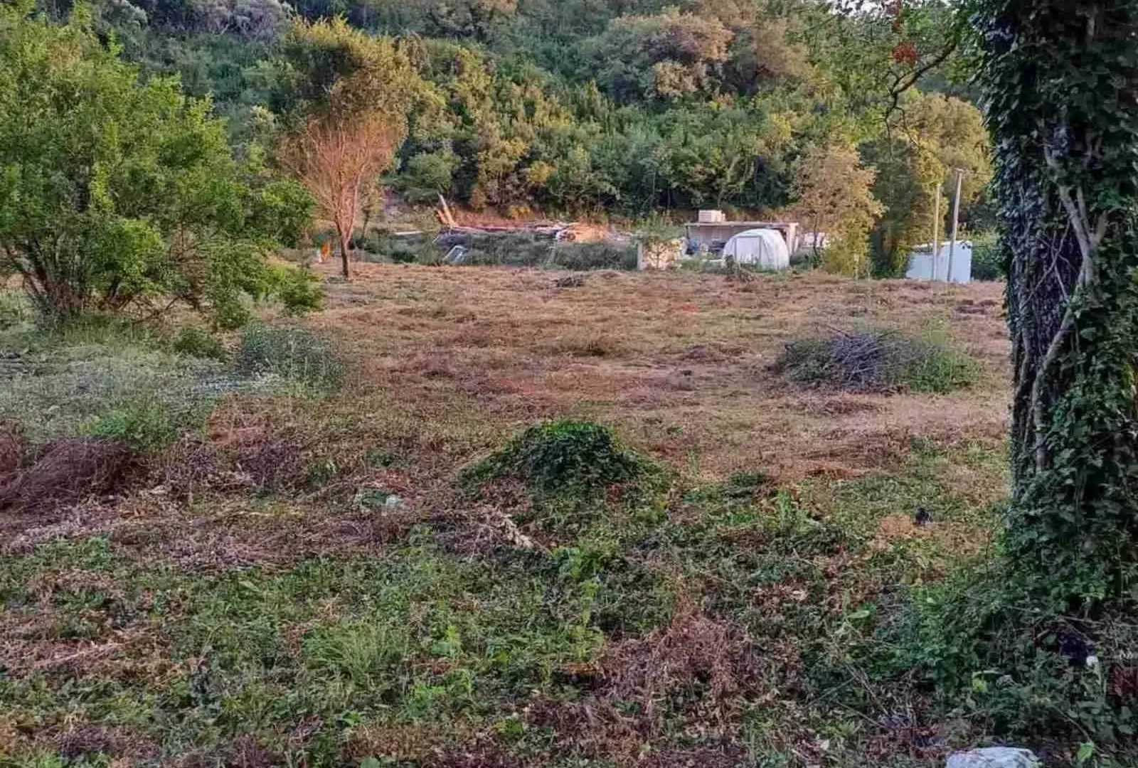 Prodaja, plac, 10300m², Kotor, Crna Gora